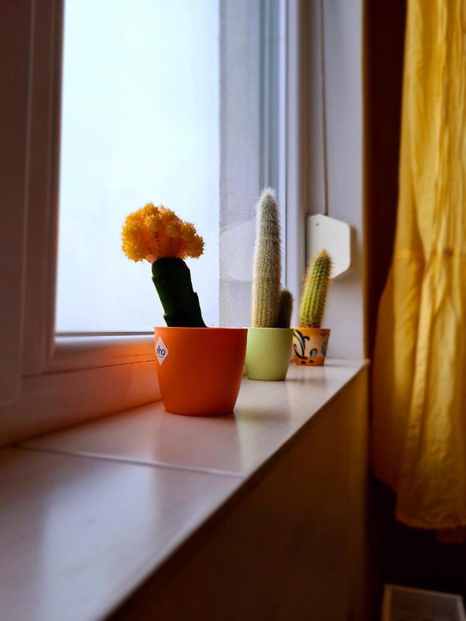 Cozy Apartment Arad Bagian luar foto