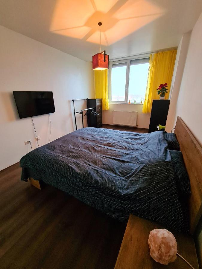 Cozy Apartment Arad Bagian luar foto